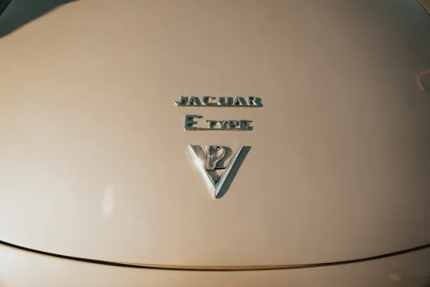 Untold Kazino Android/iOS Lietotne